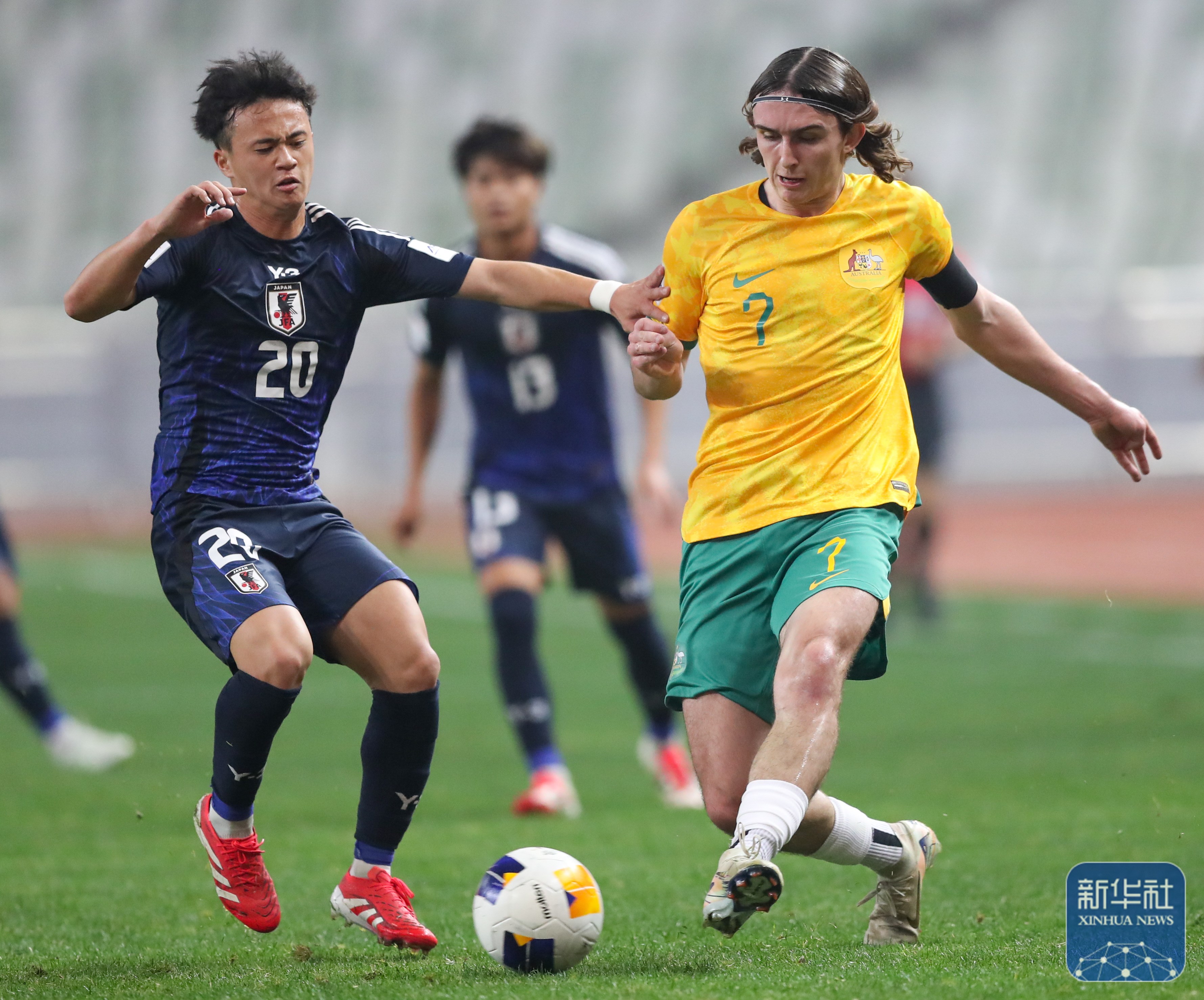 关于澳新女足闯入亚洲杯半决赛,展现实力不俗!的信息 关于澳新女足闯入亚洲杯半决赛,展现实力不俗!的信息