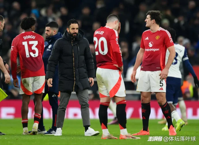 曼联主将受伤下场,团队拼抢不升的简单介绍 曼联主将受伤下场,团队拼抢不升的简单介绍