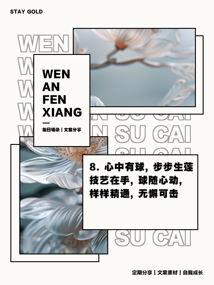 包含精妙配合造就精彩入球，令人陶醉的词条