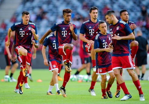 双方精彩较量战术对决，赛场气氛火爆的简单介绍